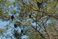  2007-12-10 10.46.52.JPG 